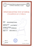 Šampion Kypru 2012